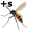 gnat 5